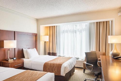Comfort Inn By The Bay image 5